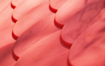 Bromyard Downs plastic roof costs